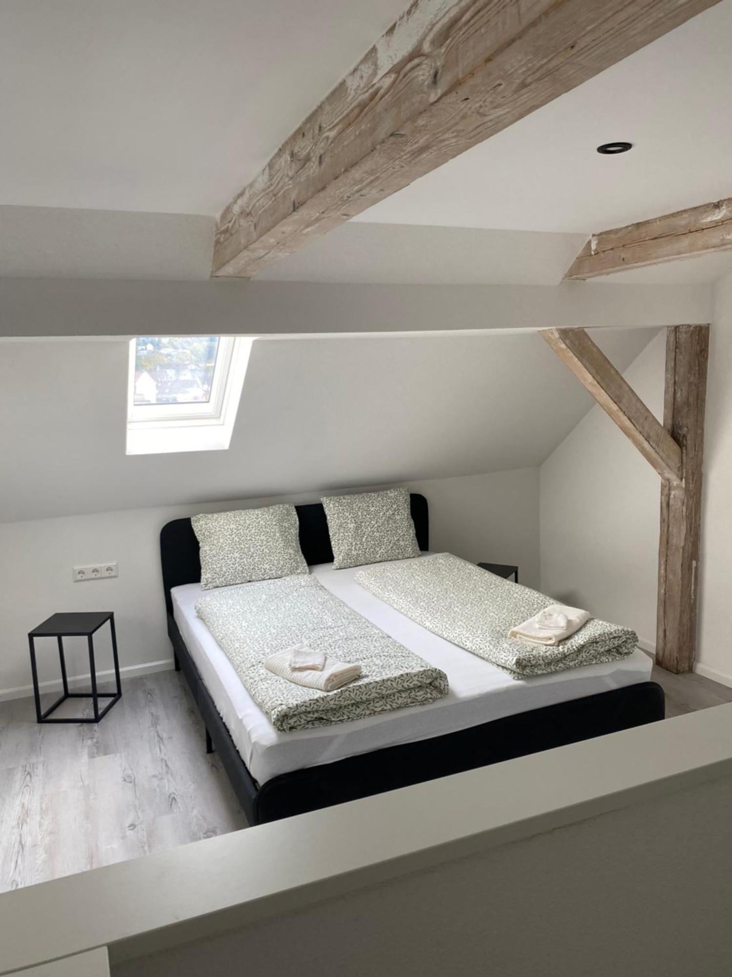 Greenhome Loerrach -Ihre Apartments Im 3-Laendereck- Dış mekan fotoğraf